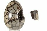 8.5" Septarian "Dragon Egg" Geode - Removable Section - #199999-2